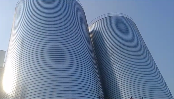 中阳2座混凝土高架卷板仓